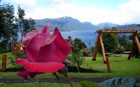 1 hectárea y media de parque con variedades de rosas y Arrayanes.
